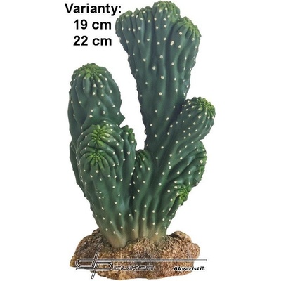 Hobby Kaktus Victoria 1 19 cm – Zboží Dáma