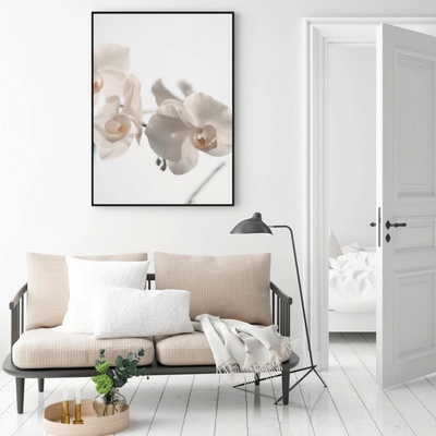 Plakát - Bílá orchidej, velikost 30x30 cm