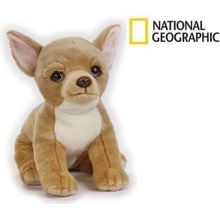 National Geographic Kids Čivava pes 33 cm