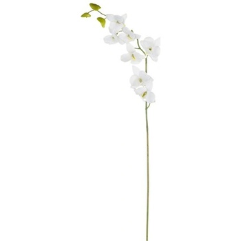 Umelá dekorácie Orchidea 60 cm Asa Selection (11845000)