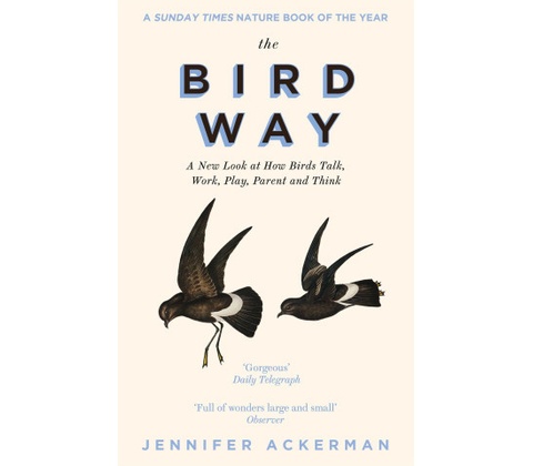Bird Way Ackerman Jennifer