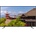 JAPANNEXT JN-IPS650UHD60F