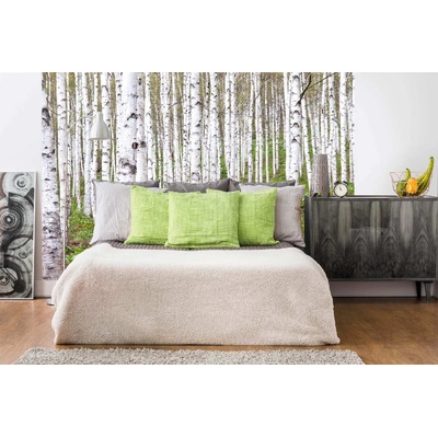 Самозалепваща се флизелинова фототапета брезова горичка 375 x 250 см