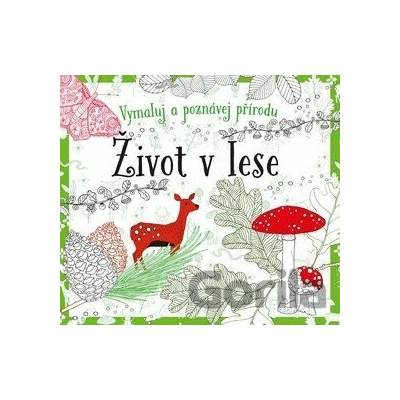 Život v lese omalovánky