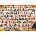 EUROGRAPHICS - Puzzle Halloween Pets - 1 000 piese