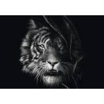 Schmidt Spiele - Puzzle Rader: Tiger - 1 000 piese