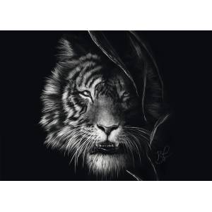 Schmidt Spiele - Puzzle Rader: Tiger - 1 000 piese