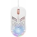 The G-Lab KULT-OXYGEN-W