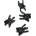 Head 4 CLIPS
