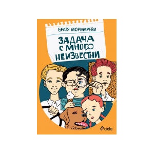Задача с много неизвестни (2025)