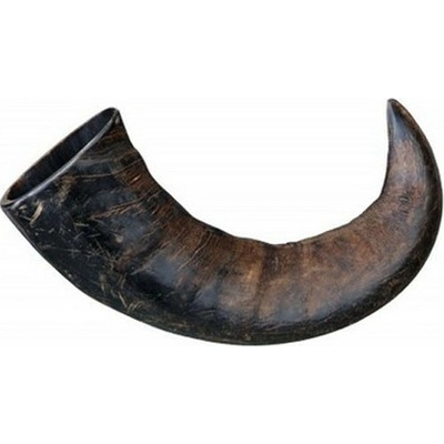 Sušený byvolí paroh stredný 25cm