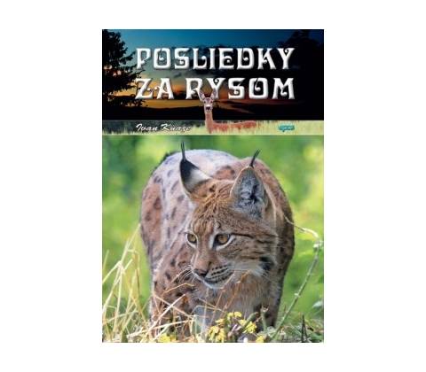 Posliedky za rysom