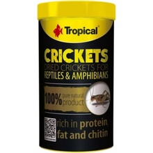 Tropical Crickets 250 ml