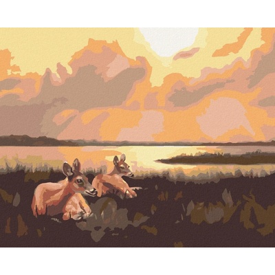zuty Malování Podle Čísel Ležící Srny A Východ Slunce D. Rusty Rust 40 x 50 Cm Plátno Rám 8596530167457