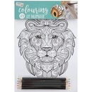 Malování podle čísel A4 5 listů a 5 oboustranných pastelek