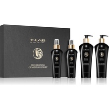 T-LAB Professional Royal Detox detoxikačný šampón 300 ml + kondicionér s detoxikačným účinkom 300 ml + ochranný sprej s detoxikačným účinkom 150 ml + ochranný olej na vlasy 150 ml darčeková sada