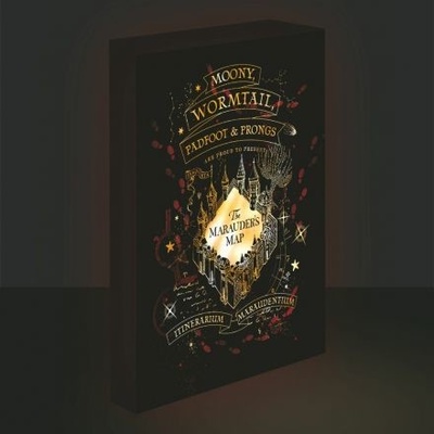Paladone Svítící obraz Harry Potter - Pobertův plánek