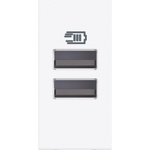 BTicino RW4191AA USB зарядно тип A и A 15W 3A 100-240V 50-60Hz, 1M Бял Classia - RW4191AA (RW4191AA)