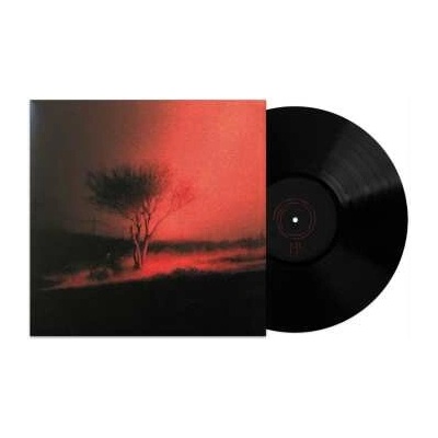 JOJI - PISS IN THE WIND LTD. LP