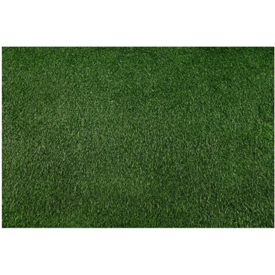 Multidecor Bellin zelená 200 x 400 cm