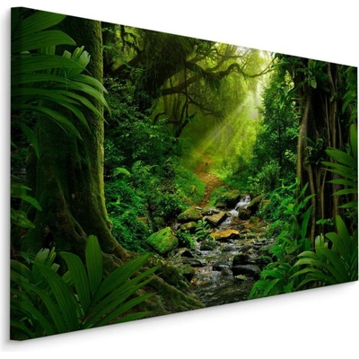 Plátno Deštný Prales Varianta: 100x70