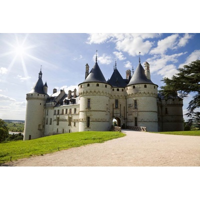 DIMEX ART Флизелинов фототапет шато дьо шамбор ii 375 x 250 см