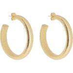 ZAG BIJOUX sec25666-01uni (sec25666-01uni)