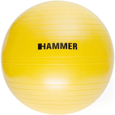 HAMMER Gymnastic Ball 55 cm