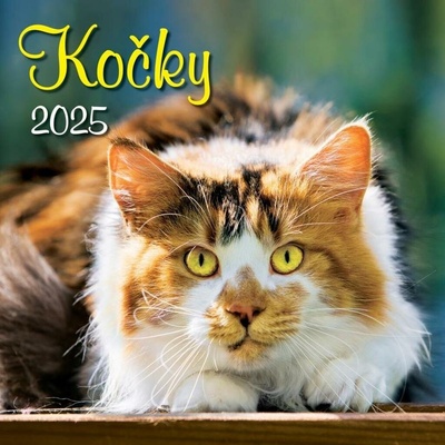 Kočky 2025