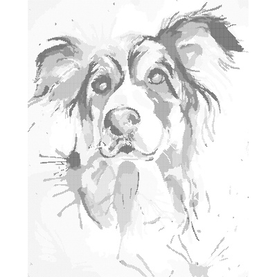 ZUTY Bodkovanie - KRÁSNY MAĽOVANÝ PES Rámovanie: bez rámu a bez vypnutia plátna, Rozmer: 40x50 cm