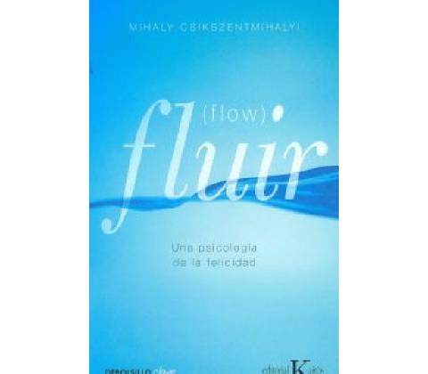 Fluir Flow