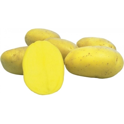 Sadba brambor PRINCESS (pytel 25kg)