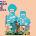 Gnarls Barkley - The Odd Couple (LP) (0617308071917)
