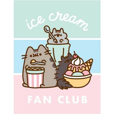 Halantex Coral fleece deka kočička Pusheen motiv Ice Cream Fan Club