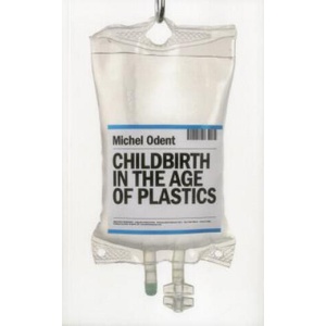 Childbirth in the Age of Plastics | Michel Odent (ISBN: 9781780663883)