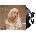 Billie Eilish - Happier Than Ever (2 LP) SET M 40-45 (602435973548 SET M 40-45)