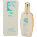 Elizabeth Arden Blue Grass parfumovaná voda dámska 100 ml