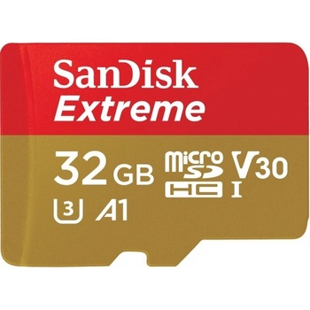 SanDisk microSDHC 32 GB SDSQXAF-032G-GN6AA