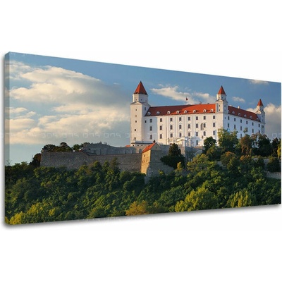 Papilora Obraz Bratislavského hradu na plátne — panoráma - 50x100 cm