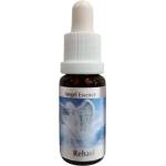 PHI Essences Подкрепя лечението - Есенция Рехаел (Angel Esssence № 19), капки 15 ml (19 ANGEL)