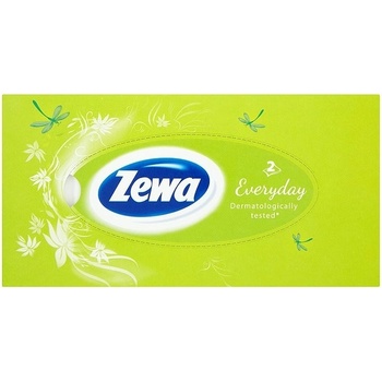 Zewa Everyday papírové kapesníčky 2-vrstvé 100 ks