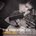 IAN JANIS: ESSENTIAL 2.0 CD