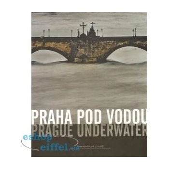 Praha pod vodou/Prague underwater