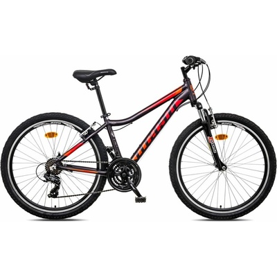 MAYO XC BASIC V UNI 2026