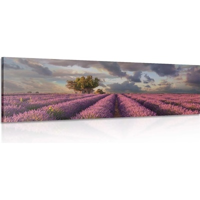 Obraz země levandulových polí - 135x45