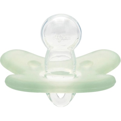 Canpol Babies 100% Silicone Soother 6-12m Symmetrical биберон Green