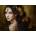 Grafika Art Puzzle - Puzzle Ortega: Golden Rose / 0039 / - 1 000 piese