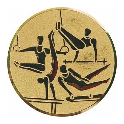 D2-A131 Emblém pr.50mm gymnastika muži 5 cm