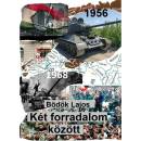 Két forradalom között