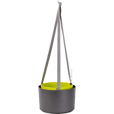 Plastia žardina samozavlažovací Berberis antracit + zelená 30 cm